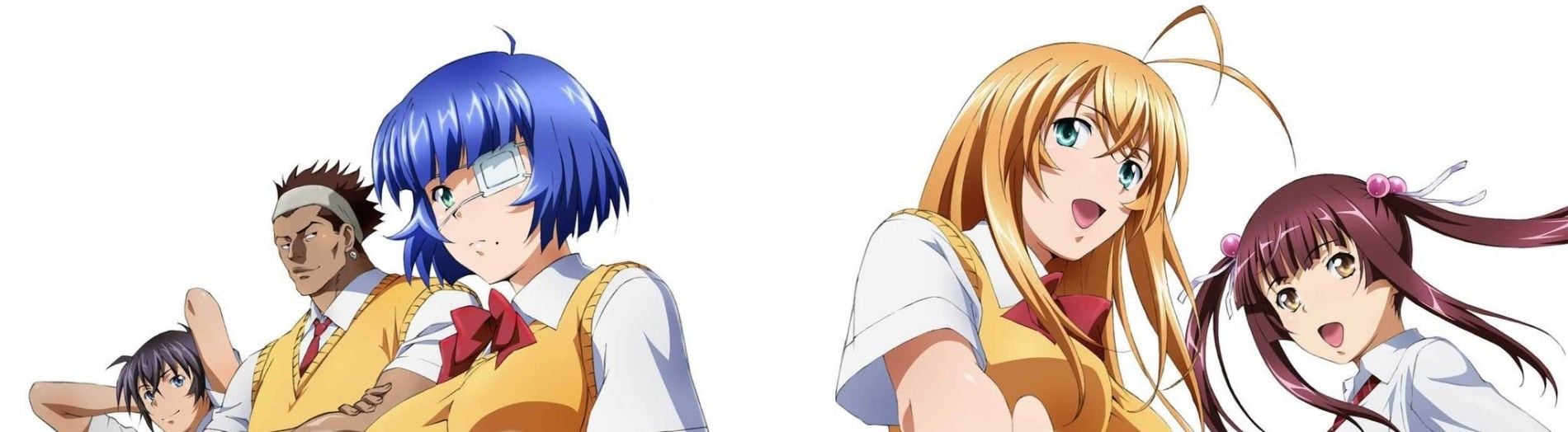 Shin Ikkitousen Backdrop