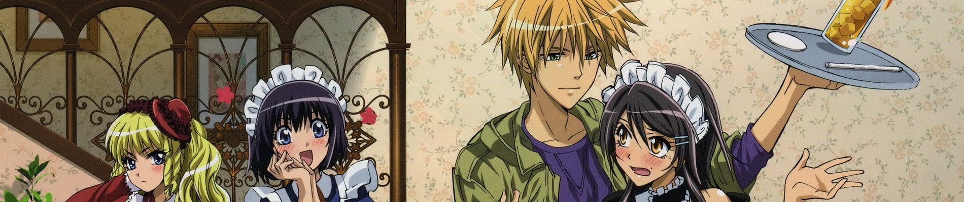 Kaichou wa Maid-sama! Backdrop