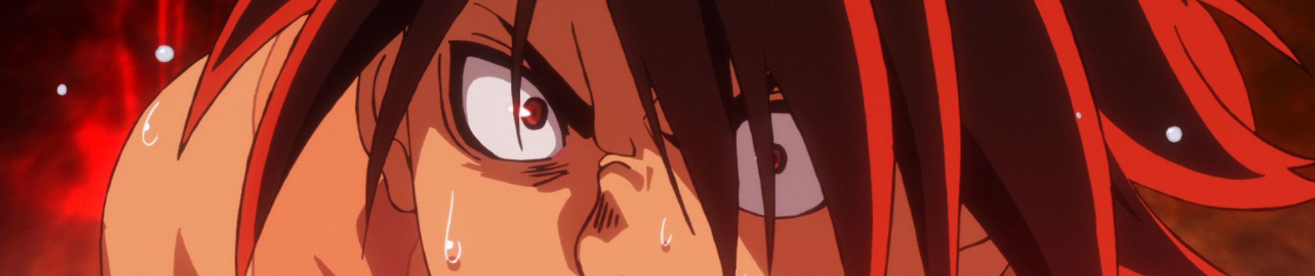 Hinomaruzumou Backdrop