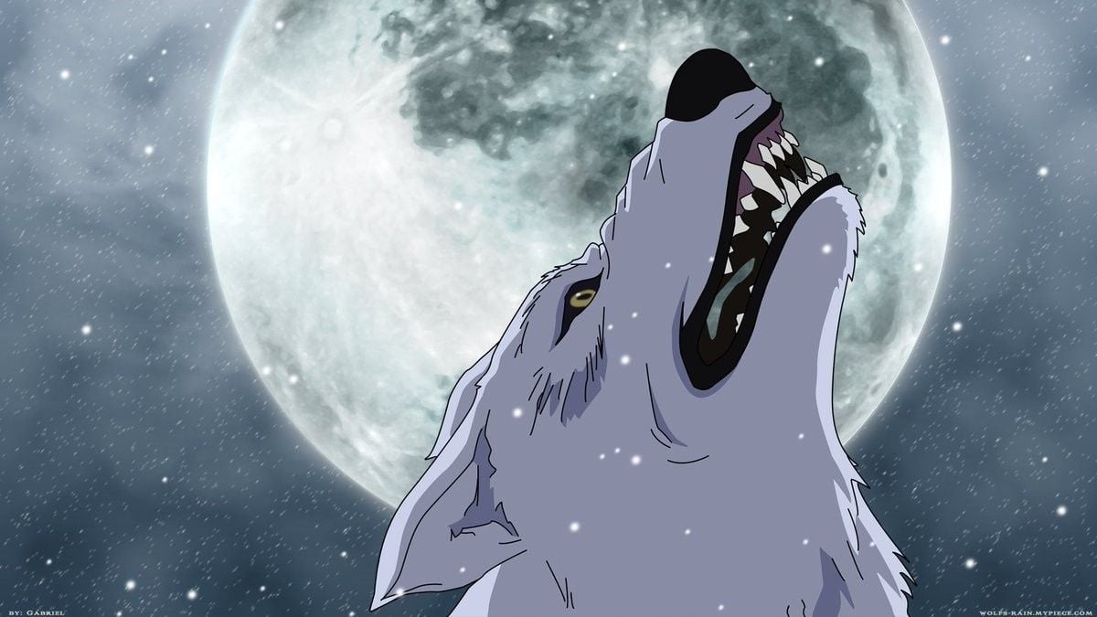 Wolf's Rain Backdrop