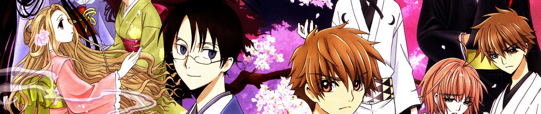 Tsubasa: Shunraiki Backdrop