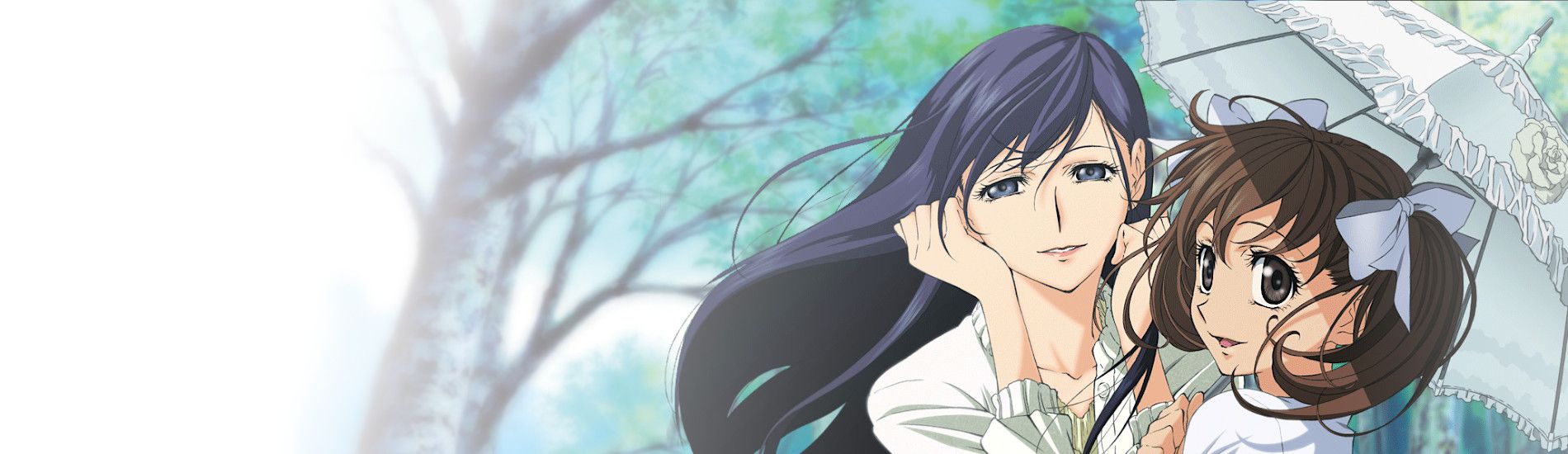 Maria-sama ga Miteru 3rd Backdrop