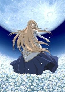 Portada de Shingetsutan Tsukihime
