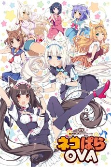 Portada de Nekopara OVA