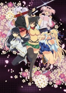 Portada de Senran Kagura
