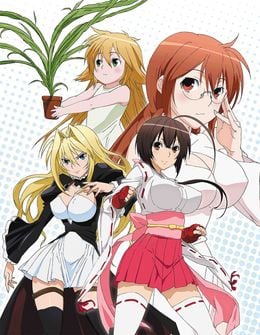 Portada de Sekirei