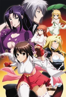 Portada de Sekirei: Pure Engagement