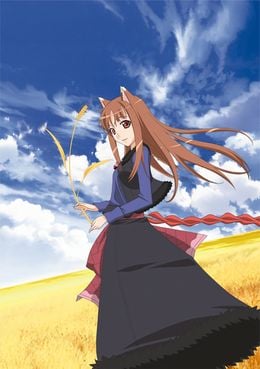 Portada de Ookami to Koushinryou