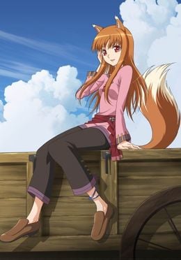 Portada de Ookami to Koushinryou II