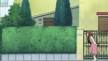 backdrop