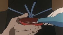 backdrop